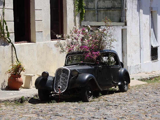 1-Colonia del Sacramento-voiture jardin.jpg